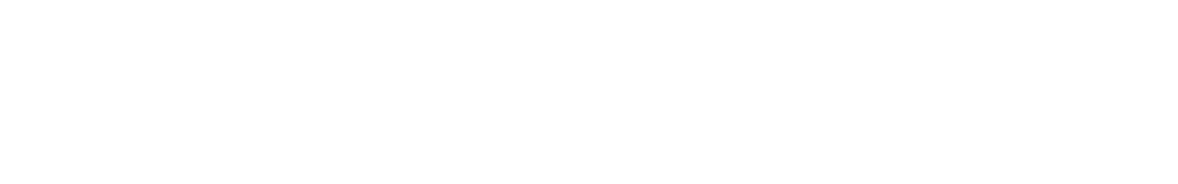 LIKEVISION white logo